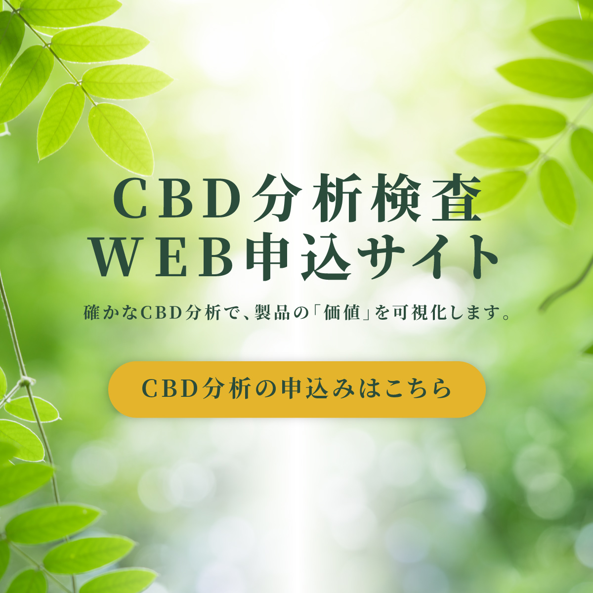 CBD分析検査WEB申込サイト